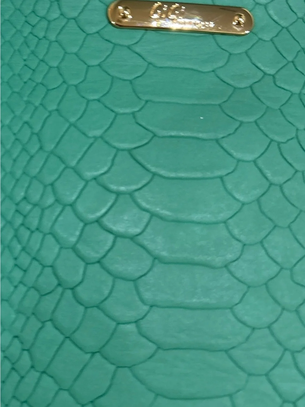 Nwot Gigi New York Textured croc Kelly green leather Tassel Clutch